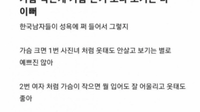 ???: 가슴 작은게 가슴 큰거 보다 보기는 더 이뻐