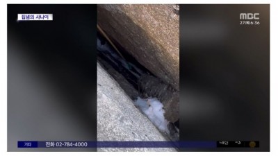 북한산에서 핸드폰 떨굼 ㄷㄷㄷ