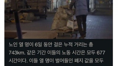 폐지수집노동 실태 보고서