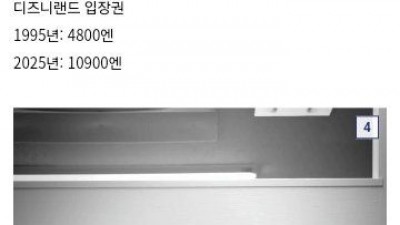 싱글벙글 1995년 vs 2025년 일본 물가 비교