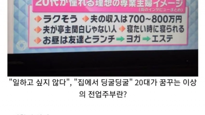20대 일본녀가 원하는 결혼생활