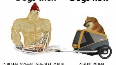 옛날개와 요즘개.jpg