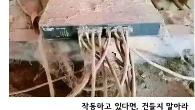 IT 업계에서 통용되는 규칙들