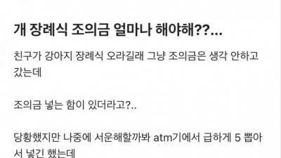 개 장례식에 조의금 내래