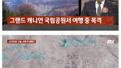 미국 그랜드 캐년 낙서 범인
