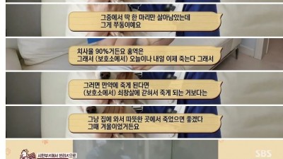 홍역 후유증으로 전신마비된 강아지 포기하지않고 꾸준히 보살펴주는 주인