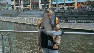 순간 포착...