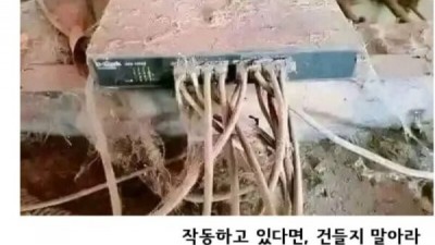 IT 업계의 명언