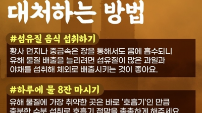 황사 미세먼지 대처법