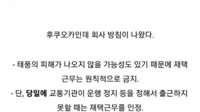 태풍에 난리난 어느 회사…재택근무하려면 업무 PC 가지러 회사에 올 것