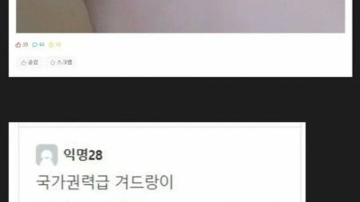 (ㅇㅎ) 겨드랑이 인증한 레전드 에타녀