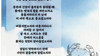 스며드는 것
