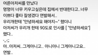 우리 개 산책시키며 거하게 취하신 아저씨를 만났다