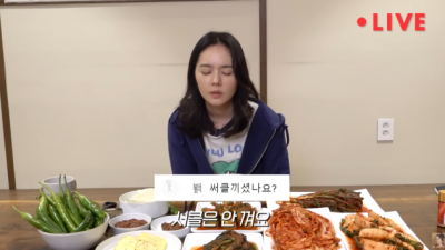 한가인이 써클렌즈를 못 끼는 이유