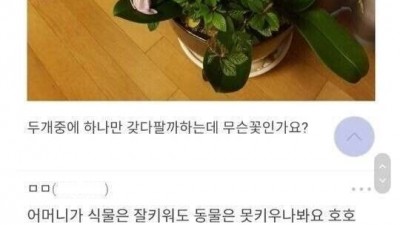 엄마 몰래 하나 팔라고 하는데
