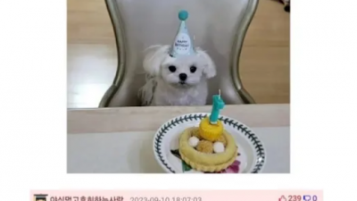 수의사 직업 장점