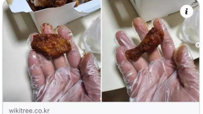 속보 교촌 메추리로 바뀌어