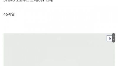 일본 아이돌 그룹 막내들 외모와 나이