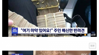 가족 팔아서 취직 성공