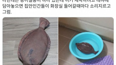 광어 한마리 ㅎㅎㅎ