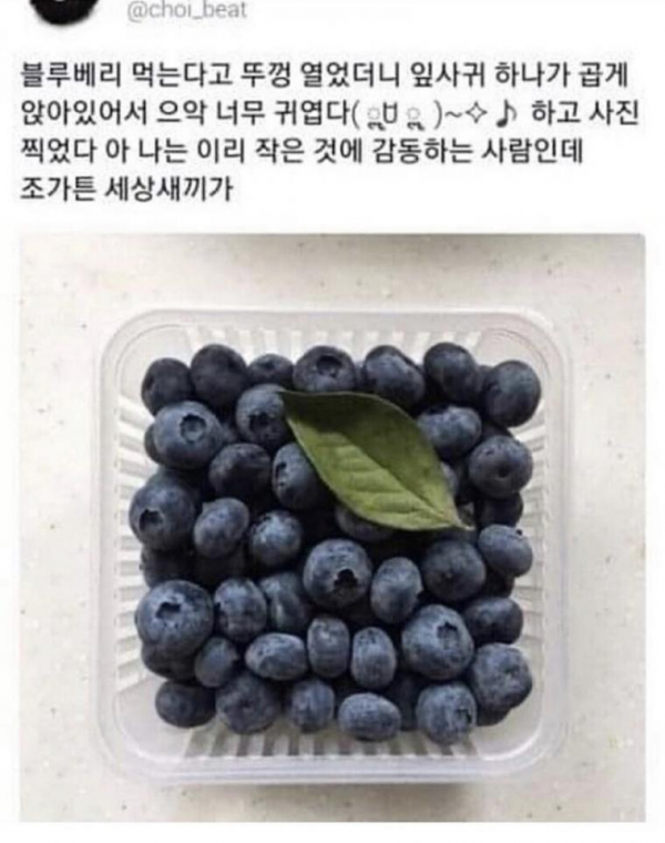 99b7c2a1d1f53f7d0ad457057fe000bb_1623204198_4654.png