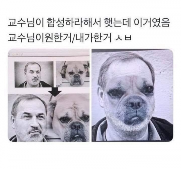 9ba58530c73ca15b79b8548f17cacfc3_1624066536_7444.png