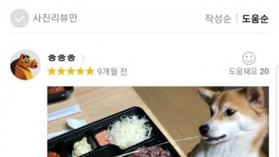 개 웃기넼ㅋㅋㅋ