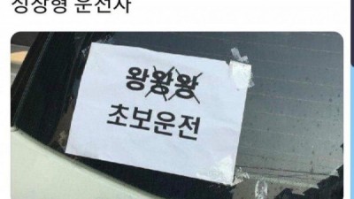저거 다지우면 어엿한 초보운전자
