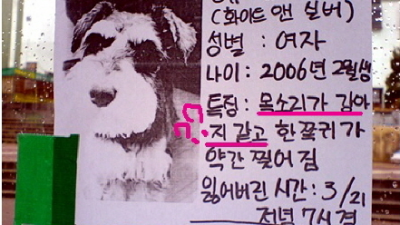목소리가 강아지같아요.