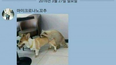 개구리 탄생과정