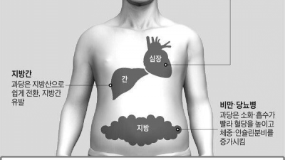 2030 세대가 비만이 되는 이유
