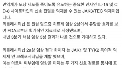 탈모인들 희망고문