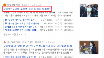 윤미향 최악의 범법자