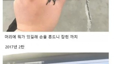 새줍기달인