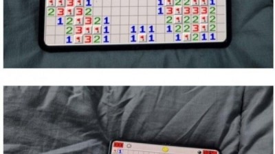 폴드산이유