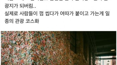 상상초월 미국 관광지