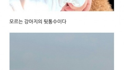 한소희 블로그