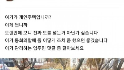 캣맘 때문에 분노한 아파트 주민들