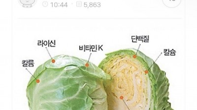 양배추는 신이내린 선물중 하나.jpg