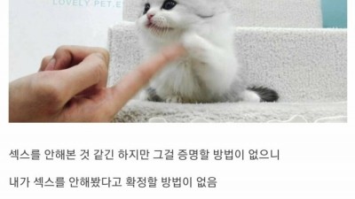 오싹오싹 모쏠아다의 존재증명