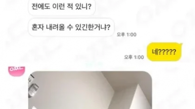 갑자기 벽타는 햄스터.jpg
