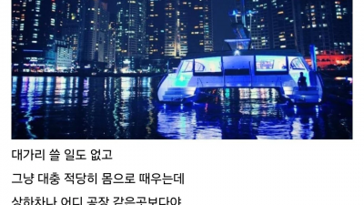 취업을 포기했다는 디시인