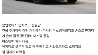 차 긁힌 머스탱 차주가 애엄마랑 싸움