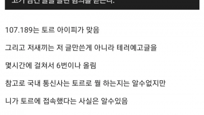 디씨에서 토르쓰고 테러예고하던 사람이 잡힌 이유