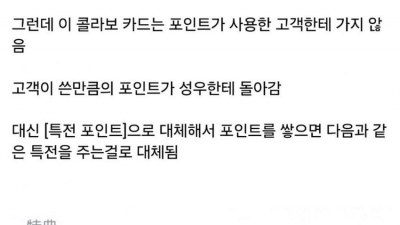 일본의 미쳐버린 신용카드 근황