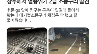 멸종위기종 만난 대학생