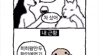 30대초반 직장인 근황