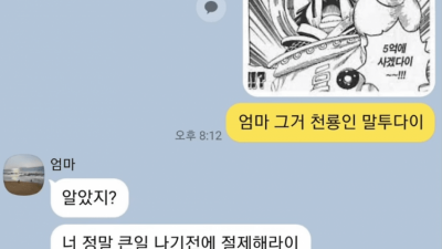 천룡인 엄마.jpg