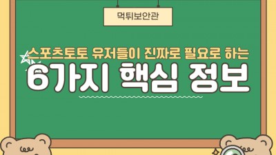 스포츠토토 유저들이 진짜로 필요로 하는 6가지 핵심 정보