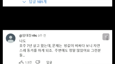 호주 워홀녀... 댓글 대참사